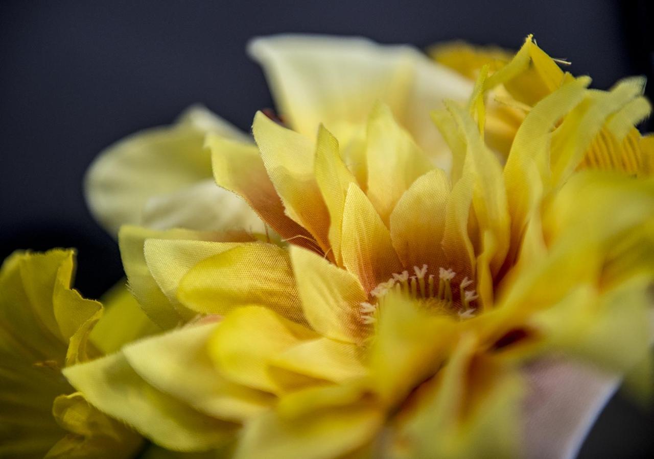 Le Stanze Dei Fiori Hotel Bologna Bagian luar foto